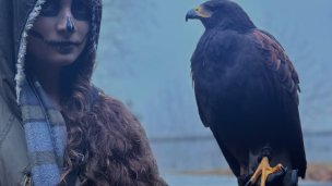 Sokoliarsky dvůr Astur, hrad Červený Kámen 2