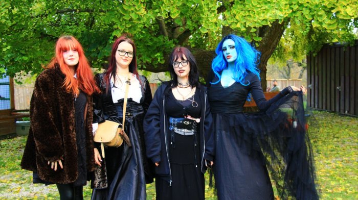 Sokoliarsky dvůr Astur, hrad Červený Kámen