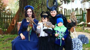 Sokoliarsky dvůr Astur, hrad Červený Kámen 3