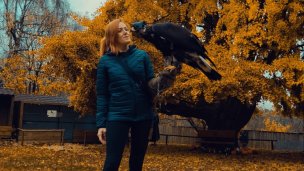 Sokoliarsky dvůr Astur, hrad Červený Kámen 4