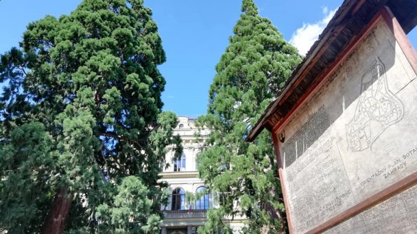 Botanická záhrada Banská Štiavnica 4 Autor: Viktor Kapety Zdroj: https://scontent-vie1-1.xx.fbcdn.net/v/t1.0-9/67426551_912472822418895_5970210566726221824_n.jpg?_nc_cat=100&_nc_sid=110474&_nc_oc=AQnaTvkKIIK2Xn-YG8cfqMi-ba1WGTbjsOiuJjDLyUU6e9LHTxN2ow5mp0nLfJ7y0So&_nc_ht=scontent-vie1-1.xx&oh=e6a8235fd76e584b3e68417630783edd&oe=5ECD983C&dl=1