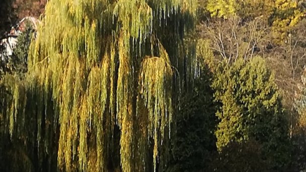 Eko park Prešov 2 Zdroj: https://scontent-vie1-1.xx.fbcdn.net/v/t1.0-9/74525757_2481342501950384_37858685015293952_n.jpg?_nc_cat=105&_nc_sid=8024bb&_nc_oc=AQlDxXUKkaU29Ss2DyYovDsJywd3GCdm8qRA9LH7a651dAFMFkeyhQmelMeLiw7vT4Y&_nc_ht=scontent-vie1-1.xx&oh=aaf499e8cd13a01fab6df3e570074240&oe=5ECB9A4A