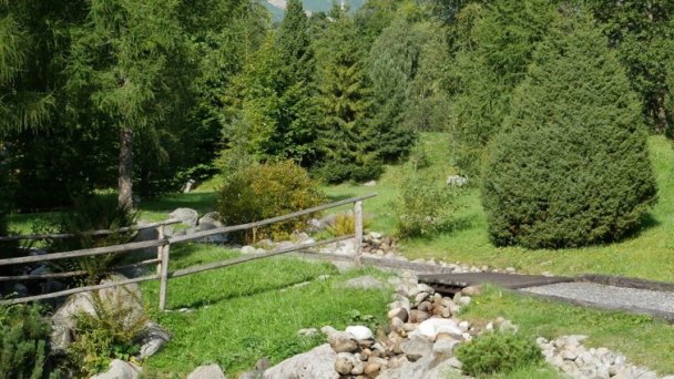 Botanická záhrada 3 Autor: Štátne lesy TANAPu Zdroj: https://scontent-vie1-1.xx.fbcdn.net/v/t1.0-9/r270/s960x960/70870917_2333313543600412_2009178833416093696_o.jpg?_nc_cat=107&_nc_sid=8024bb&_nc_oc=AQlIUff6ozL6IebpUVCqgIilUDuKqwAfx0ngbqZl2bVewb5Oiv6gKhrMjql3M4zFwJ4&_nc_ht=scontent-vie1-1.xx&oh=d9c4b26d6cc7a3c2628b76b81b920c0c&oe=5ECC5F91