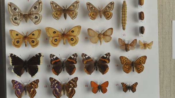 Balneologické muzeum Imricha Wintera v Piešťanech 4 Balneologické muzeum Imricha Wintera v Piešťanech 4