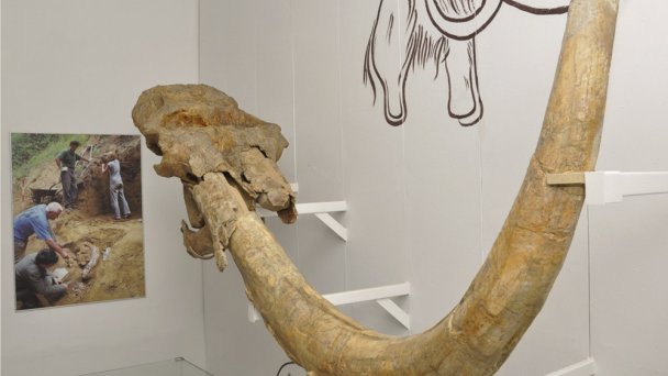 Balneologické muzeum Imricha Wintera v Piešťanech 5 Balneologické muzeum Imricha Wintera v Piešťanech 5