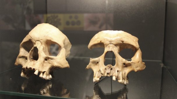 Slovenské muzeum ochrany přírody a jeskyňářství 3