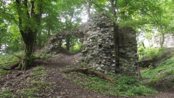 Hrad BIely Kameň Autor: hrady-zamky.sk Zdroj: https://www.hrady-zamky.sk/obrazky/biely-kamen/biely-kamen2.jpg