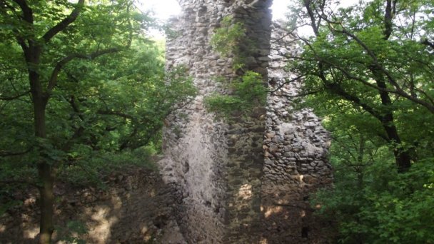 Hrad Biely Kameň Autor: hrady-zamky.sk Zdroj: https://www.hrady-zamky.sk/obrazky/biely-kamen/biely-kamen8.jpg