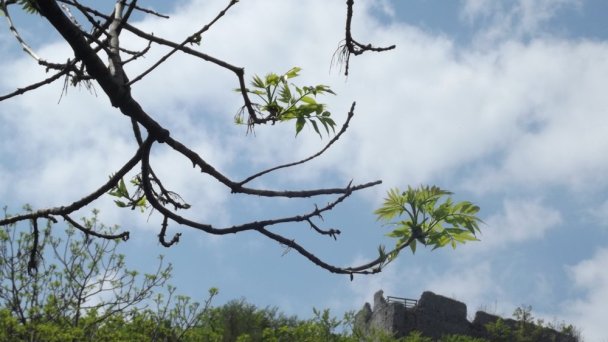 Hrad Muráň Autor: hrady-zamky.sk Zdroj: https://www.hrady-zamky.sk/obrazky/muran/muran22.jpg Hrad Muráň Autor: hrady-zamky.sk Zdroj: https://www.hrady-zamky.sk/obrazky/muran/muran22.jpg