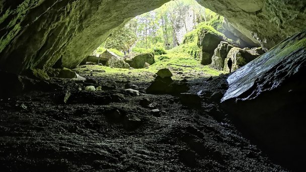 Jaskyňa Silická ľadnica Autor: Facebook Zdroj: https://scontent.fbts7-1.fna.fbcdn.net/v/t1.0-9/116713810_10217663885884090_2124184567655596266_o.jpg?_nc_cat=108&ccb=2&_nc_sid=b9115d&_nc_ohc=brPPmgQAX2AAX-x03-d&_nc_ht=scontent.fbts7-1.fna&oh=92b166a53d5798afc9af37857a58a1a5&oe=5FF2C2E2 Jaskyňa Silická ľadnica Autor: Facebook Zdroj: https://scontent.fbts7-1.fna.fbcdn.net/v/t1.0-9/116713810_10217663885884090_2124184567655596266_o.jpg?_nc_cat=108&ccb=2&_nc_sid=b9115d&_nc_ohc=brPPmgQAX2AAX-x03-d&_nc_ht=scontent.fbts7-1.fna&oh=92b166a53d5798afc9af37857a58a1a5&oe=5FF2C2E2