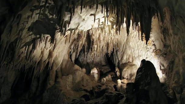 Pružinská Dupná jaskyňa Autor: Facebook Zdroj: https://scontent.fbts7-1.fna.fbcdn.net/v/t1.0-9/22528001_1540231689401499_8990027666433707181_n.jpg?_nc_cat=109&ccb=2&_nc_sid=cdbe9c&_nc_ohc=J4ESG2kj3HcAX96nWRj&_nc_ht=scontent.fbts7-1.fna&oh=441e8c93e4307a37918ba12beab15a6f&oe=5FFF1FC5 Pružinská Dupná jaskyňa Autor: Facebook Zdroj: https://scontent.fbts7-1.fna.fbcdn.net/v/t1.0-9/22528001_1540231689401499_8990027666433707181_n.jpg?_nc_cat=109&ccb=2&_nc_sid=cdbe9c&_nc_ohc=J4ESG2kj3HcAX96nWRj&_nc_ht=scontent.fbts7-1.fna&oh=441e8c93e4307a37918ba12beab15a6f&oe=5FFF1FC5