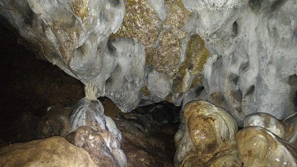 Pružinská Dupná jaskyňa Autor: Facebook Zdroj: https://scontent.fbts7-1.fna.fbcdn.net/v/t1.0-9/116423956_280421639910067_3562590826292239423_o.jpg?_nc_cat=100&ccb=2&_nc_sid=730e14&_nc_ohc=TBWeujJhmp8AX-Lg87J&_nc_ht=scontent.fbts7-1.fna&oh=297ed28388eb3ba5b3116bfd7dceecb0&oe=6002F9D3 Pružinská Dupná jaskyňa Autor: Facebook Zdroj: https://scontent.fbts7-1.fna.fbcdn.net/v/t1.0-9/116423956_280421639910067_3562590826292239423_o.jpg?_nc_cat=100&ccb=2&_nc_sid=730e14&_nc_ohc=TBWeujJhmp8AX-Lg87J&_nc_ht=scontent.fbts7-1.fna&oh=297ed28388eb3ba5b3116bfd7dceecb0&oe=6002F9D3