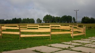 Koně ve Východní 6