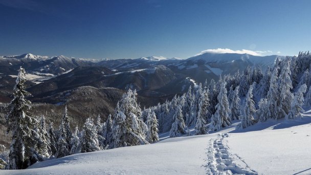 SKI Park Snow Donovaly 2