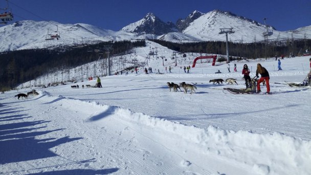 yžařské středisko Tatranská Lomnica 2 Autor: Jan Farkas Zdroj: https://slovenskycestovatel.sk/item/lyziarske-stredisko-tatranska-lomnica