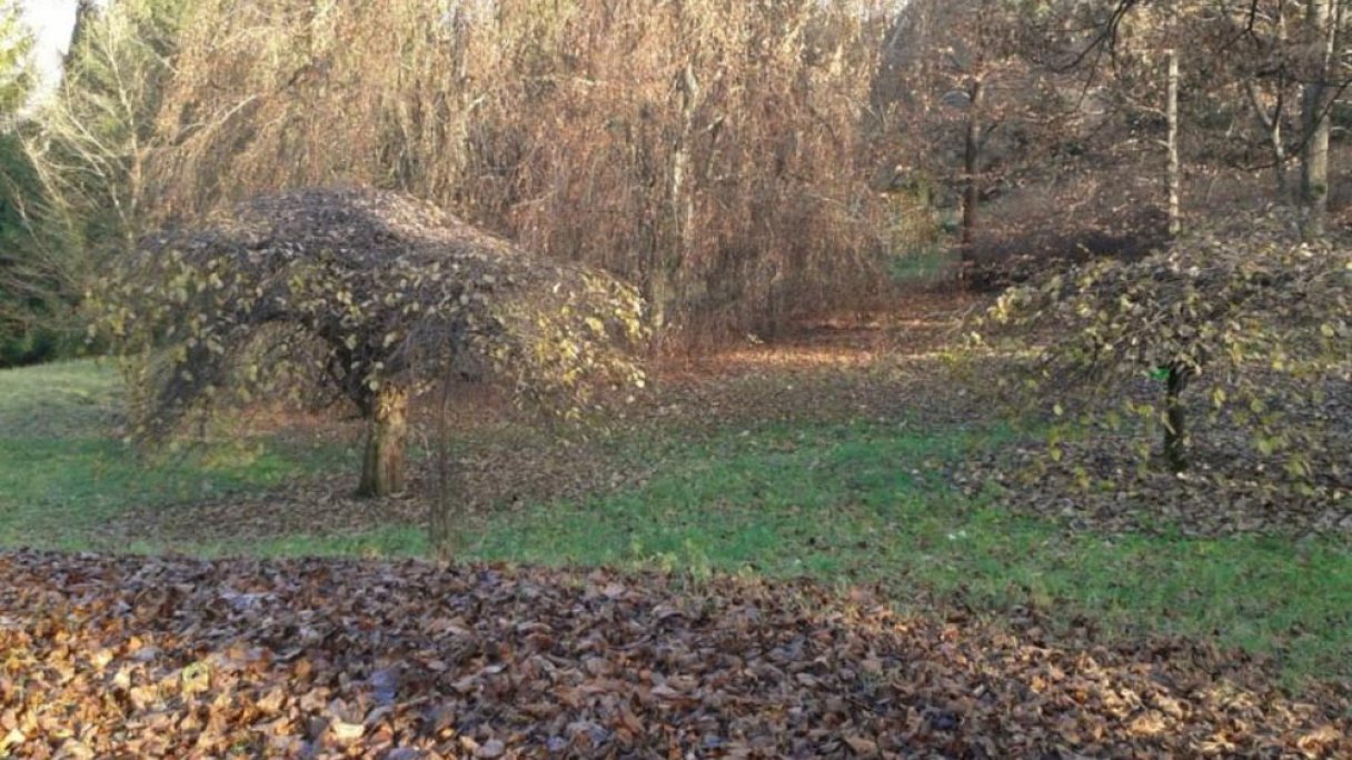 Arboretum Borová hora 1