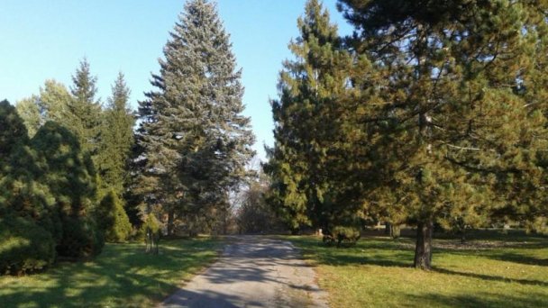 Arboretum Borová hora 3
