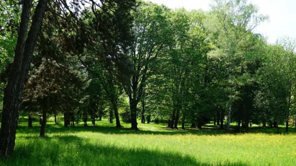 Historický park Snina 3 Zdroj: https://www.snina.sk/mesto/pamiatky-a-pamatihodnosti/pamiatky/historicky-park-pri-kastieli/ Historický park Snina 3 Zdroj: https://www.snina.sk/mesto/pamiatky-a-pamatihodnosti/pamiatky/historicky-park-pri-kastieli/