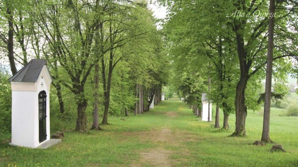 Kalvárie na Bobrovskem vršku 5