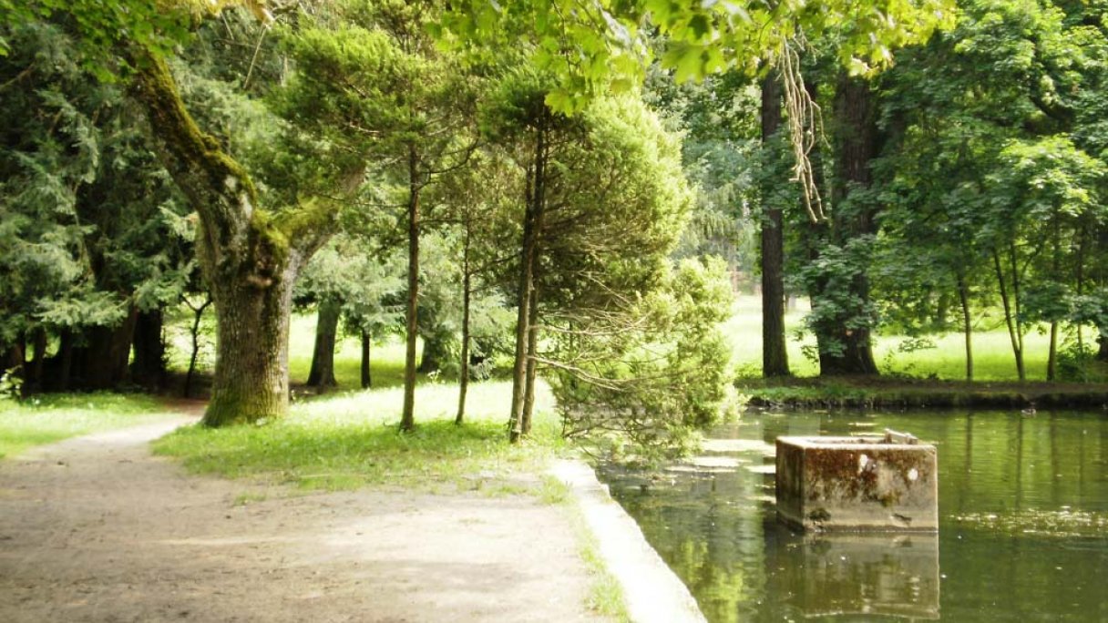 Arboretum - Park Turčianska Štiavnička 2 Zdroj: https://sk.wikipedia.org/wiki/Tur%C4%8Dianska_%C5%A0tiavni%C4%8Dka