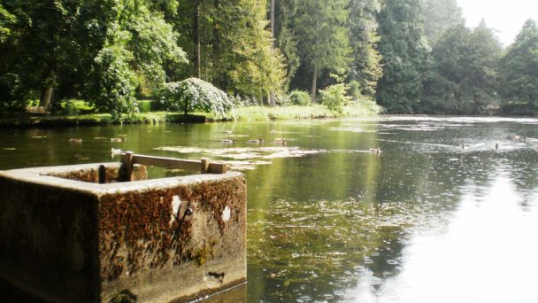 Arboretum - Park Turčianska Štiavnička 4 Zdroj: https://sk.wikipedia.org/wiki/Tur%C4%8Dianska_%C5%A0tiavni%C4%8Dka