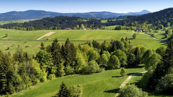 Oravská lesná železnica 5 Oravská lesná železnica 5