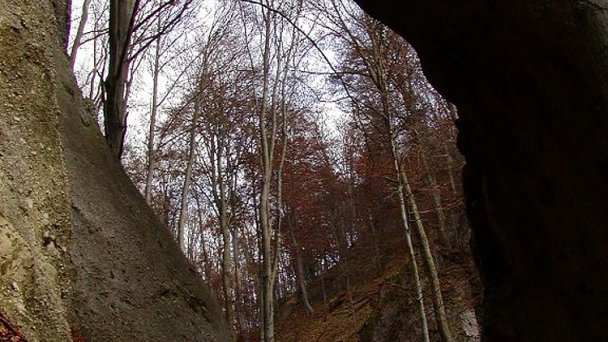 Súľovské skaly Autor: Martin Hlauka Zdroj: https://upload.wikimedia.org/wikipedia/commons/d/d4/Obrovska_brana_-_Sulovske_skaly.jpg Súľovské skaly Autor: Martin Hlauka Zdroj: https://upload.wikimedia.org/wikipedia/commons/d/d4/Obrovska_brana_-_Sulovske_skaly.jpg