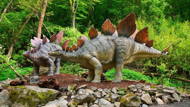 Dino Park Autor: DinoTeam Zdroj: https://upload.wikimedia.org/wikipedia/commons/b/ba/Stegosaurus_02_DinoPark_Ko%C5%A1ice.jpg