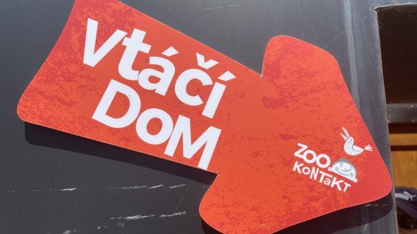 ZOO Kontakt 11