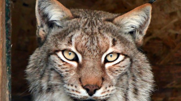 ZOO Spišská Nová Ves 4