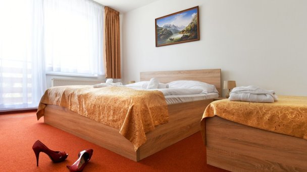 Hotel Lesana *** Stará Lesná 6