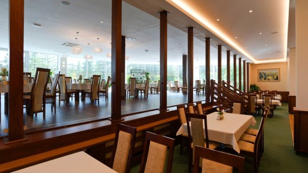 Hotel Lesana *** Stará Lesná 39