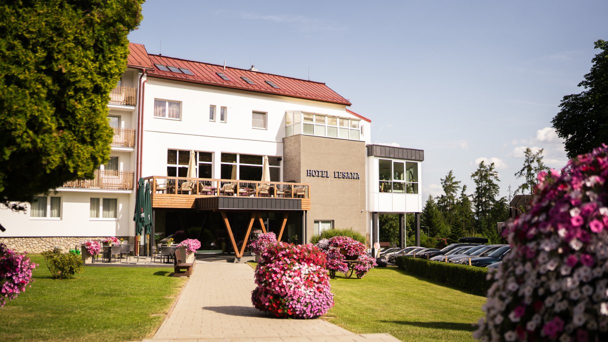 Hotel Lesana *** Stará Lesná 1