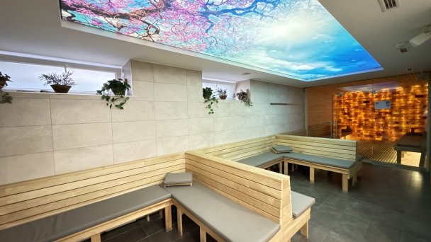 Hotel Thermalpark *** Dunajská Streda - do konce června nejnižší cena jen na Domalenka.cz 53 Hotel Thermalpark *** Dunajská Streda - do konce června nejnižší cena jen na Domalenka.cz 53