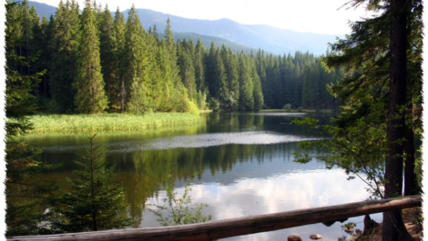 Hotel FIM *** Jasná, Demänovská dolina 41