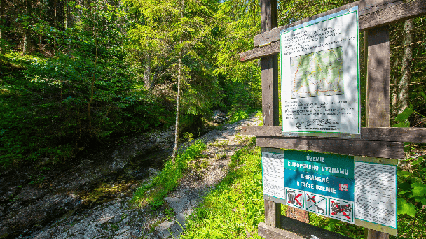 Wellness Hotel *** Repiská, Demänovská Dolina 59