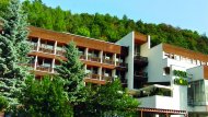 Hotel Flóra *** Trenčianske Teplice 3