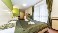 Hotel Flóra *** Trenčianske Teplice 1