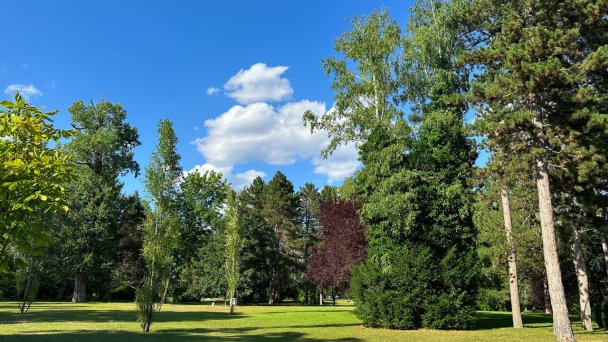 Hotel Magnólia **** Piešťany 94