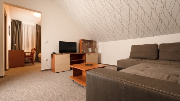 Hotel Termál *** Vyhne 24 Hotel Termál *** Vyhne 24