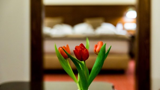 Hotel Bankov **** Košice 11