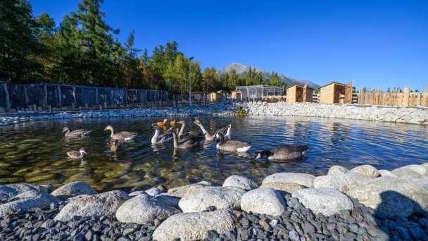 Hotel Hubert **** Vital Resort Gerlachov 84