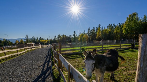 Hotel Hubert **** Vital Resort Gerlachov 76