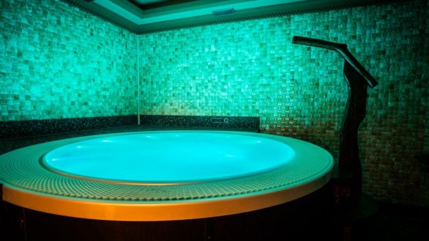 Wellness Wellness