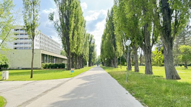 Křídlo Alameda, Esplanade Ensana Health Spa Hotel **** 51