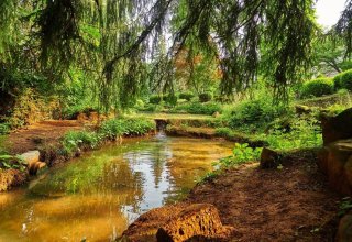 Síla lesní lázně: Totální restart v Lázních Sliač