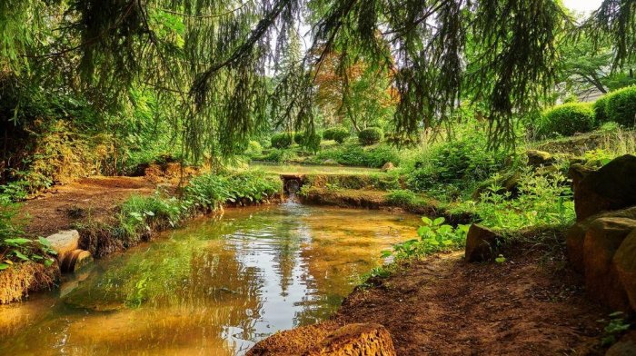 Síla lesní lázně: Totální restart v Lázních Sliač