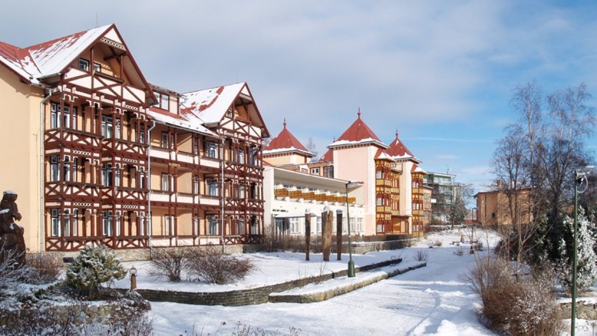 Hotel Branisko *** Lázně Nový Smokovec 1