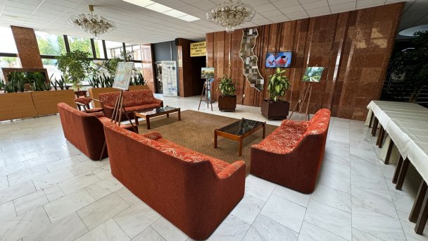 Central Ensana Health Spa Hotel **  8