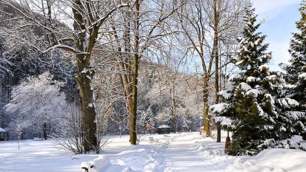 Lázně Trenčianske Teplice 49 Lázně Trenčianske Teplice 49
